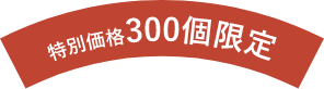 特別価格【300個限定】