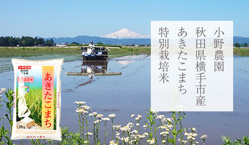(玄米)遊佐一史さんの宮城県栗原市産金のいぶき