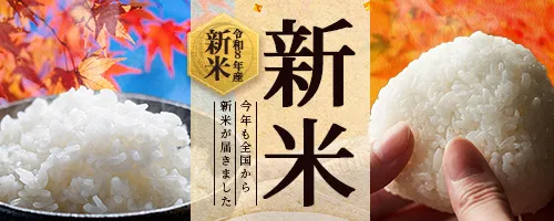 新米特集
